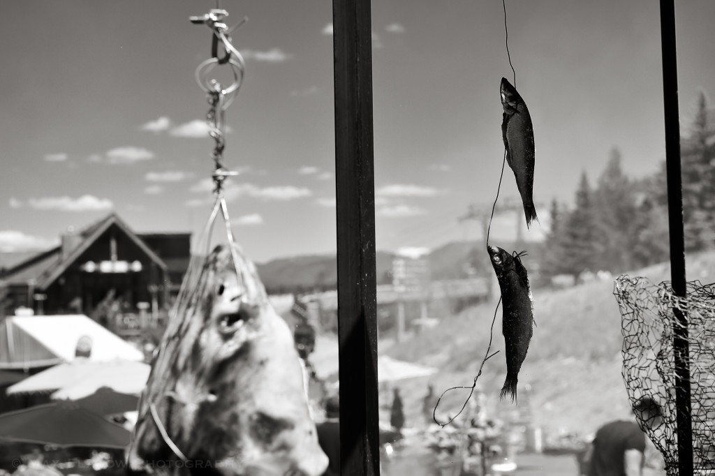 Cochon555Aspen-37