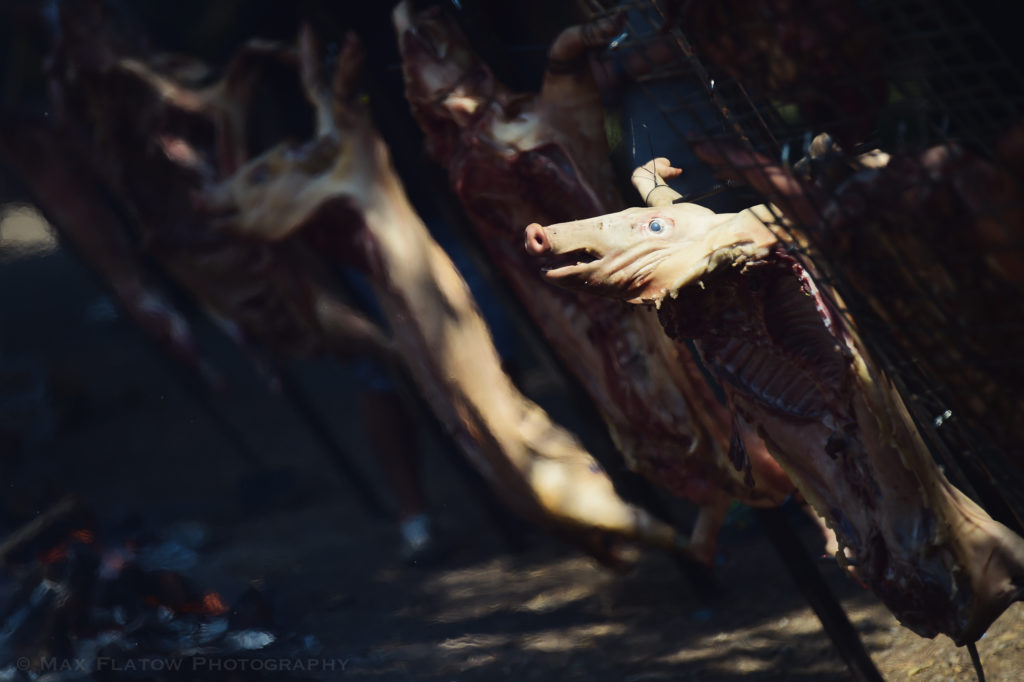 HF2016_blog (23 of 56)